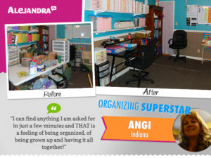 Power Productivity Program Superstar Angi's Organized Office 