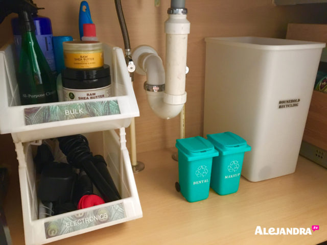 https://www.alejandra.tv/wp-content/uploads/2016/07/Bathroom-Organization-Ideas-How-to-Organze-the-Bathroom-Cabinet-640x480.jpg